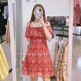 ĐẦM HOA NHÍ RỚT VAI