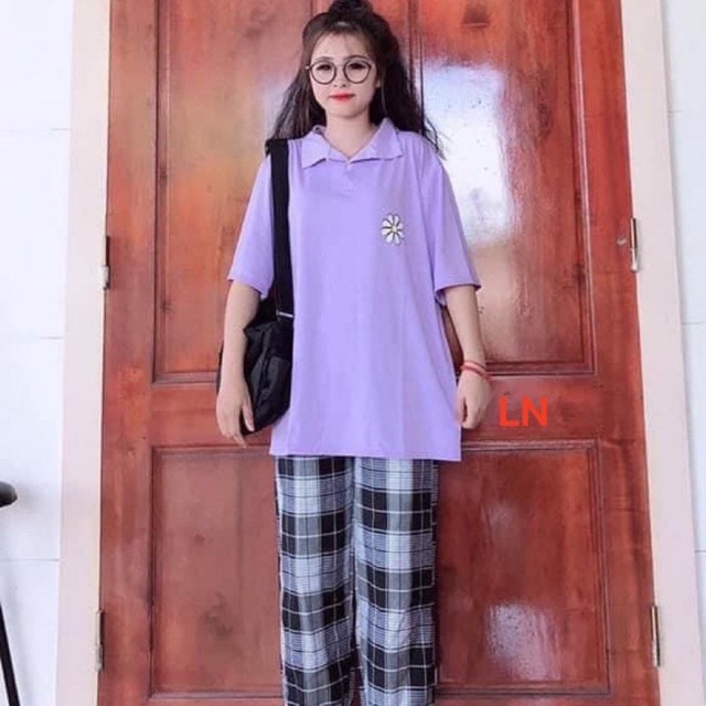 Sét áo polo hoa năm cánh + quần kẻ đen LN12