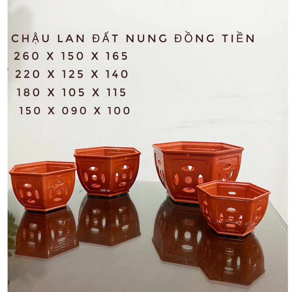 5 Chậu nhựa Đồng Tiền trồng lan cao cấp siêu bền đường kính 18x10.5x11.5cm- 77580