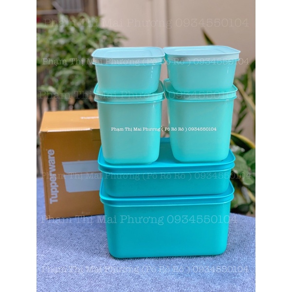 Hàng Có Sẵn Bộ 6 Hộp Trữ Đông Freezermate Tupperware Thế Hệ II Nhựa Nguyên Sinh An Toàn Tuyệt Đối