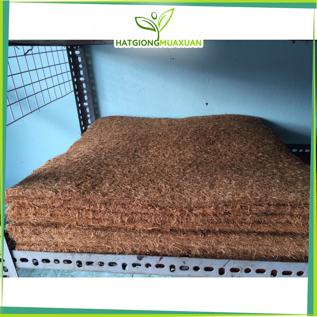 [SIEURE] Thảm xơ dừa trồng Lan 50cmx50cm hàng đẹp, phân phối chuyên nghiệp.