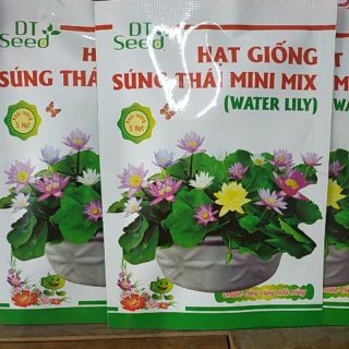 Combo 2 gói Hạt giống Súng Thái Mini và 1 lọ dung dịch thủy canh, để bón cho cây -  Rau củ quả trồng tại vườn, sân thượn