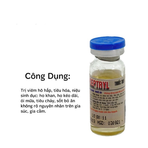 Combo 2 lọ* 10ml Linco septryl chó mèo bỏ ăn hsd 17/10/2023