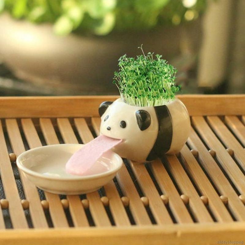 Desk Flower Pot Automatic Watering Flower Pot