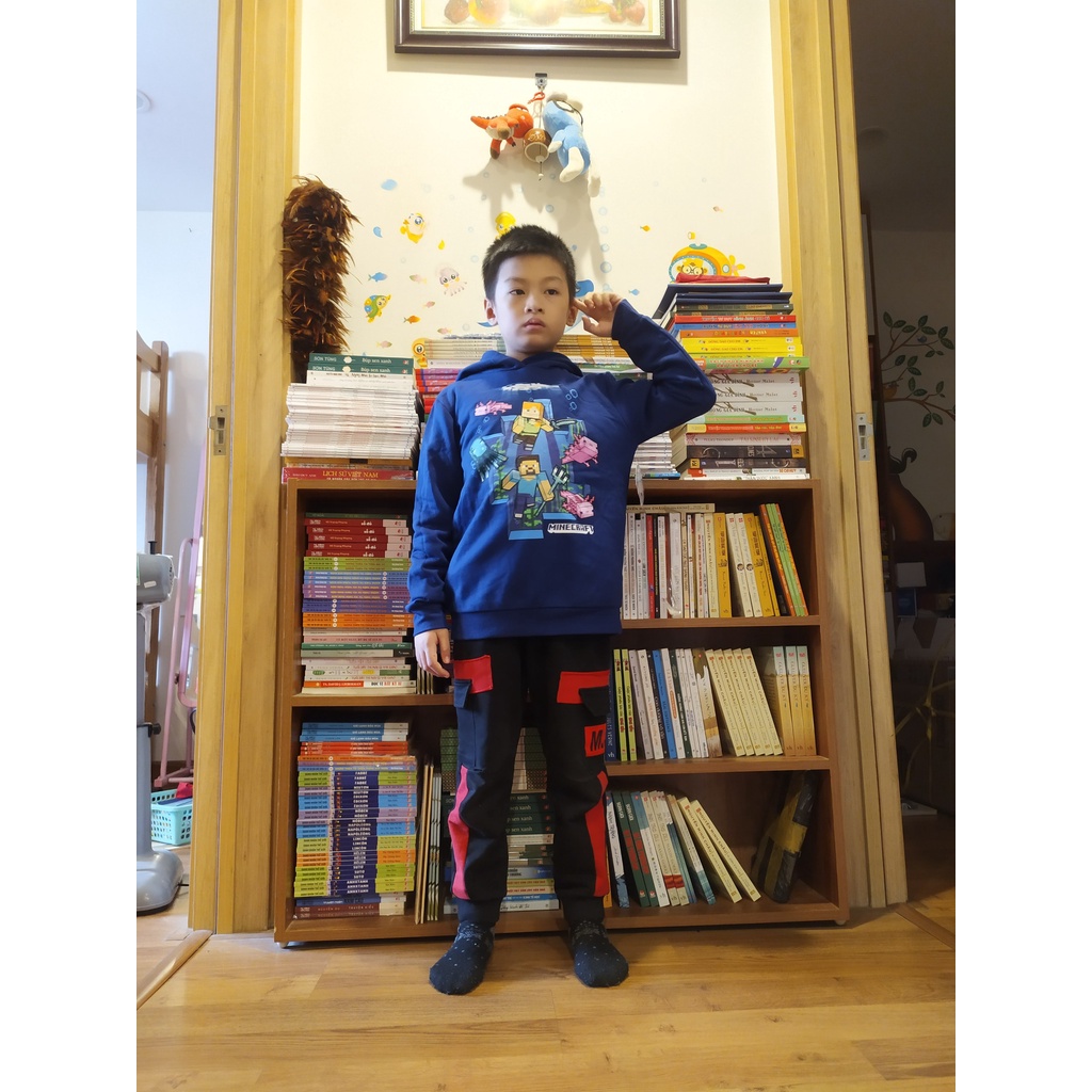 Áo nỉ Walmat Minecraft Xuất Dư