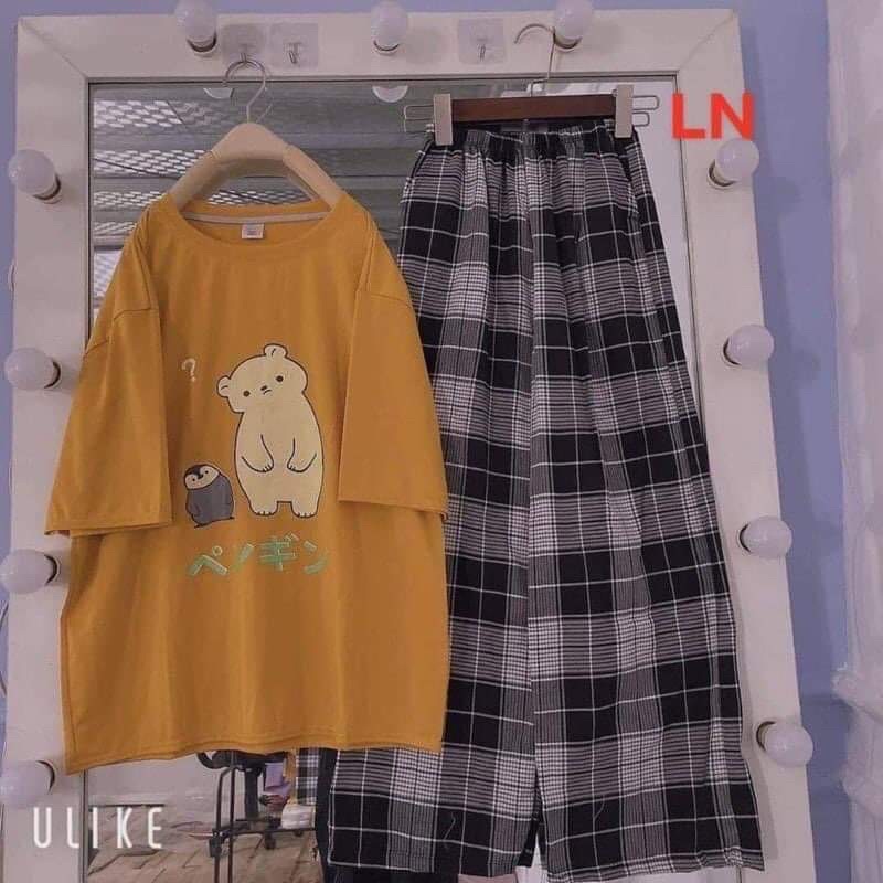 Sét áo gấu và chim cánh cụt + quẩn kẻ TH6