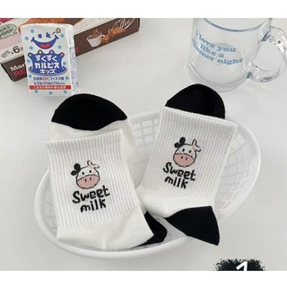 Tất bò sữa cao cổ ulzzang