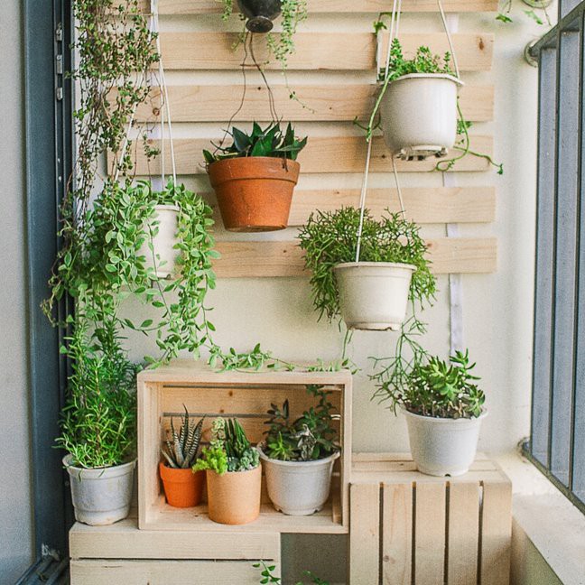 Combo Kệ gỗ ngoài trời để ban công chậu hoa, cây cảnh, Bảng treo cây, Hộp gỗ pallet đa năng
