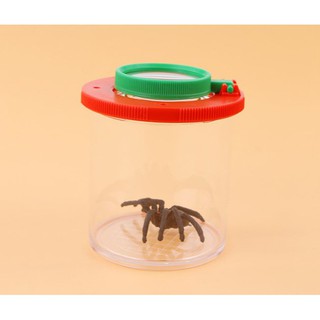 Hộp quan sát Côn Trùng