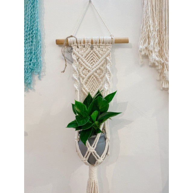 Dây treo chậu cây macrame