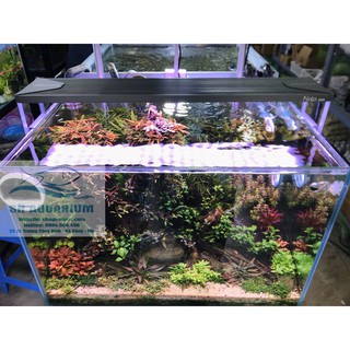 ĐÈN LED RGB NALA 60CM cho bể cá cảrnh