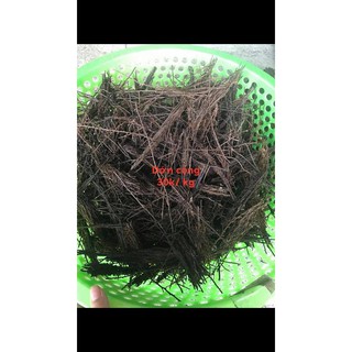 Dớn vụn trồng lan 1kg