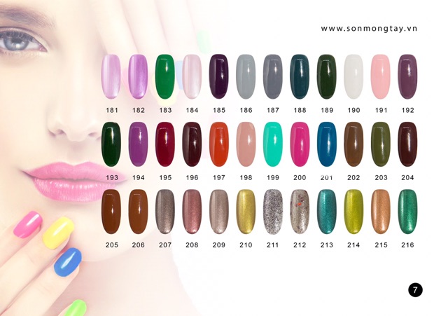 10 chai Ladydream (được chọn màu)
