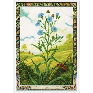 Bộ bài The Druid Plant Oracle