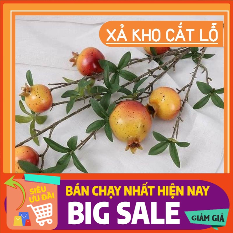 CÀNH LỰU CAO CẤP 6 QUẢ TO GIỐNG THẬT 99% QUÂNOBONGU1