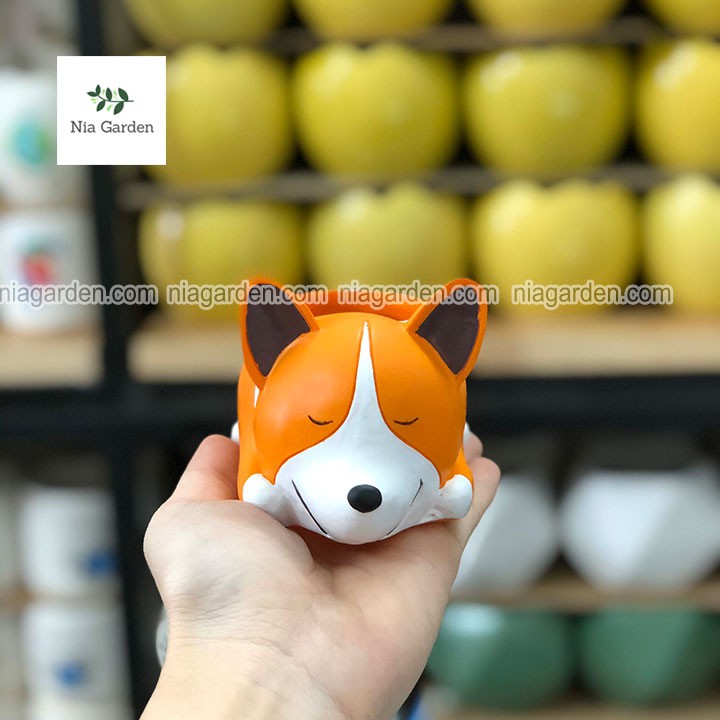 Chậu chó Corgi cam trồng sen đá xương rồng mini để bàn Nia Garden N4