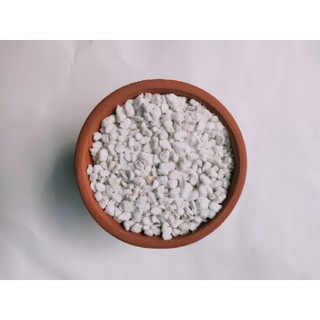 Đá PERLITE - Đá Trân Châu dùng trồng cây, trang trí