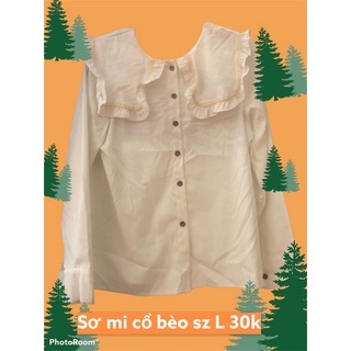 80 link