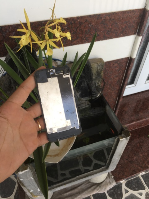 Nắp lưng iphone 4,4s bóc máy | BigBuy360 - bigbuy360.vn