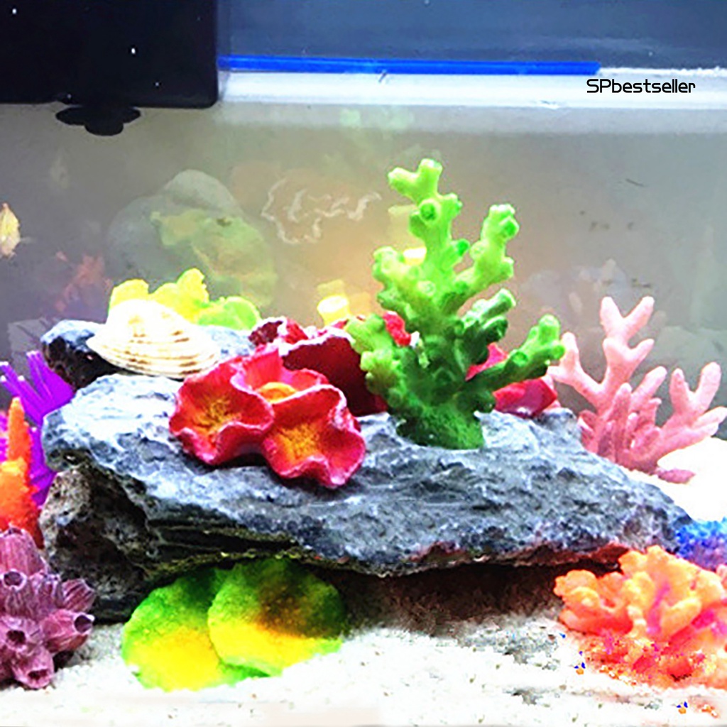San hô nhân tạo mềm trang trí bể cá sinh động
