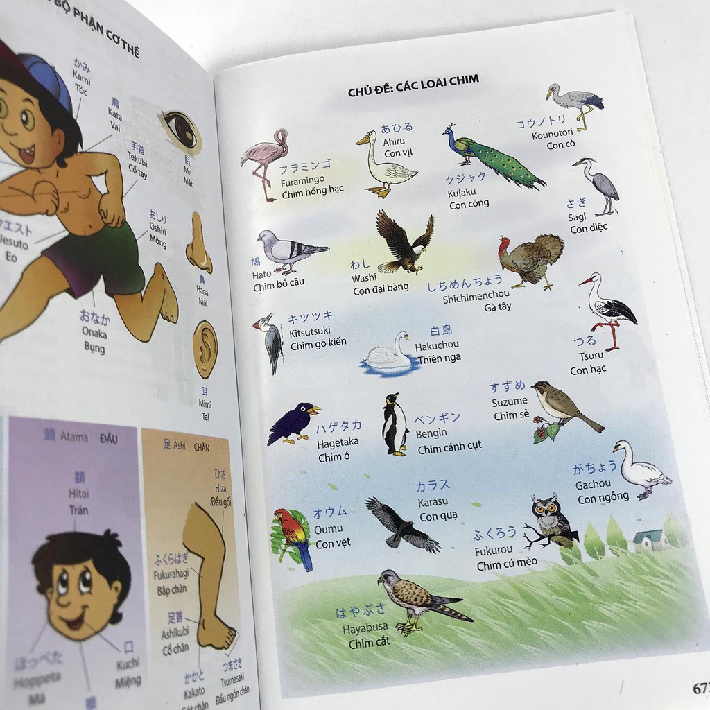 Sách - Từ điển Nhật-Việt thông dụng Tặng Kèm Bookmark
