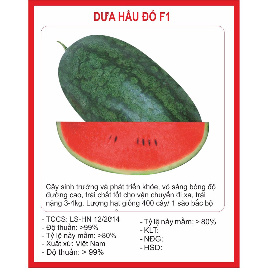 ( BOK GARDEN ) HẠT GIỐNG DƯA HẤU ĐỎ 10 HẠT