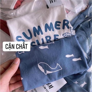 Set 2 bộ ba lỗ BT