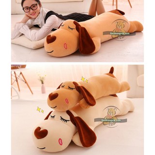 Chó ôm mũi tim 1m