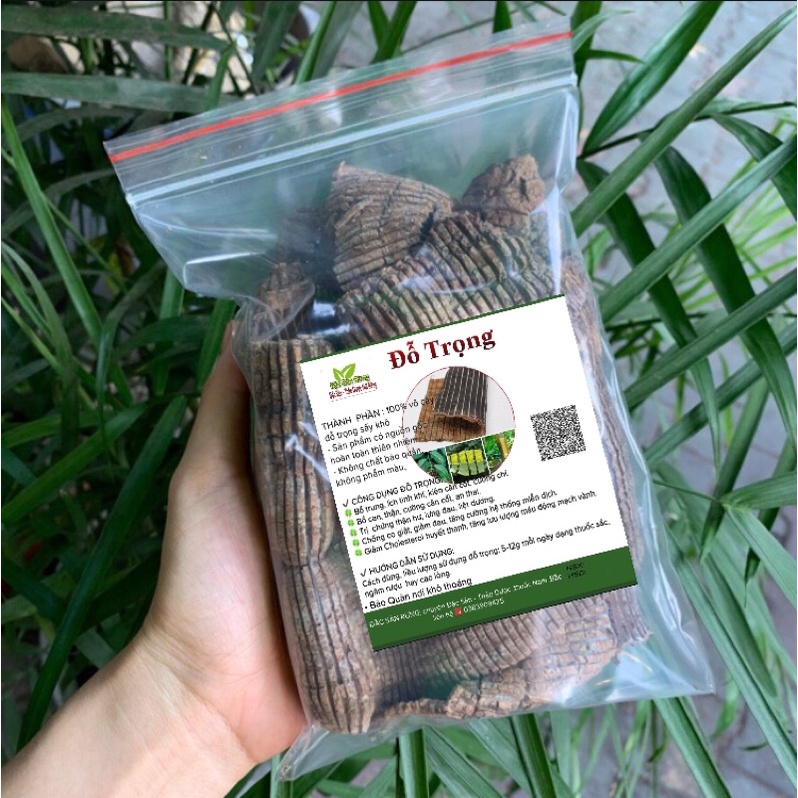 Đỗ Trọng 1kg - Bổ Thận ,Mạnh Gân Cốt
