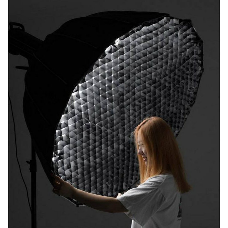 Lưới tổ ong Nanlite cho softbox SB-FZ60