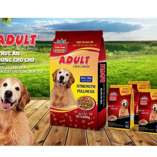 Thức ăn chó lớn Pro - Pet