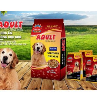 Thức ăn chó lớn Pro - Pet