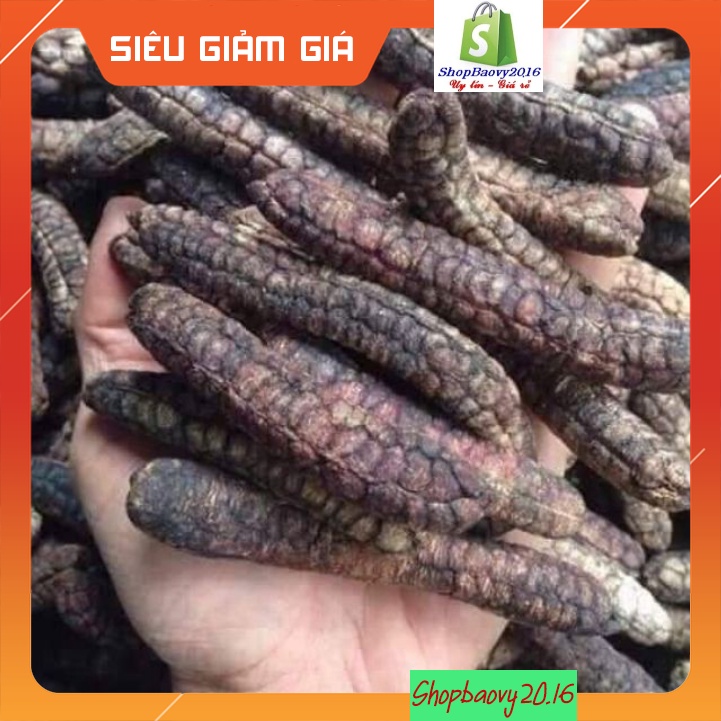 1kg Quả chuối hột rừng Tây nguyên 🍀FREESHIP🍀Nguyên Quả Phơi Khô Tự Nhiên Chuẩn 100% | BigBuy360 - bigbuy360.vn