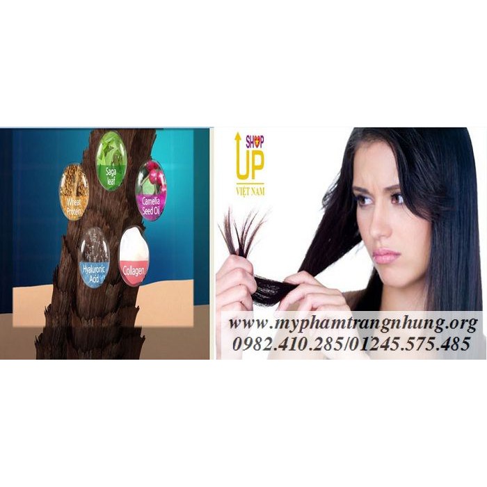 Tinh Dầu Dưỡng Tóc Cafe MIRACLE OIL 50ml | BigBuy360 - bigbuy360.vn