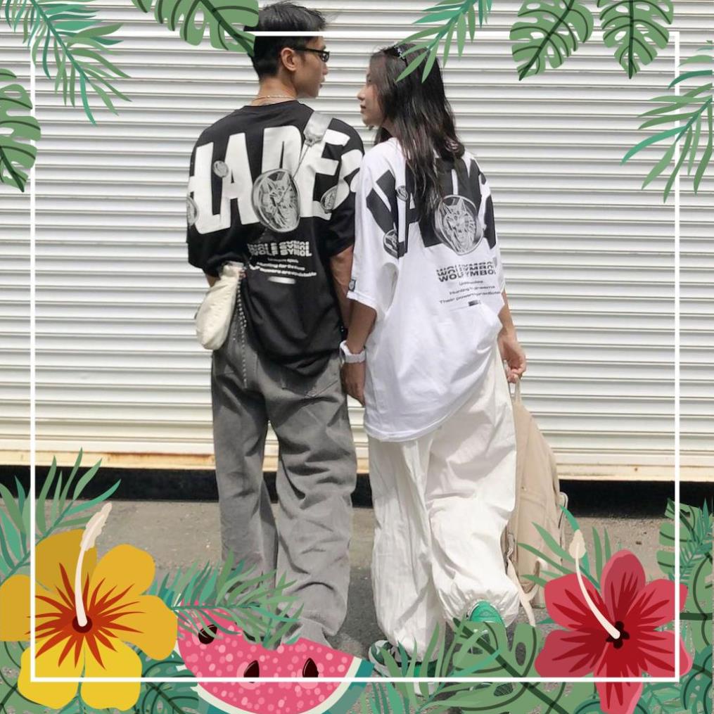 Áo thun tay lỡ from rộng - Áo thun unisex giành cho nam nữ HADES 2 màu đen-trắng siêu hót.