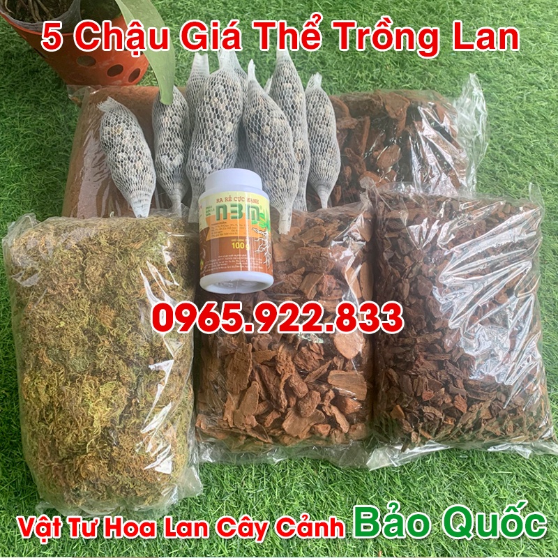 Giá Thể Trồng Lan 5 Chậu Đã Xử Lý