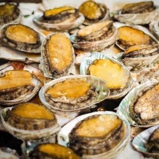 [ PHÚ NHUẬN ] BÀO NGƯ 500 GR