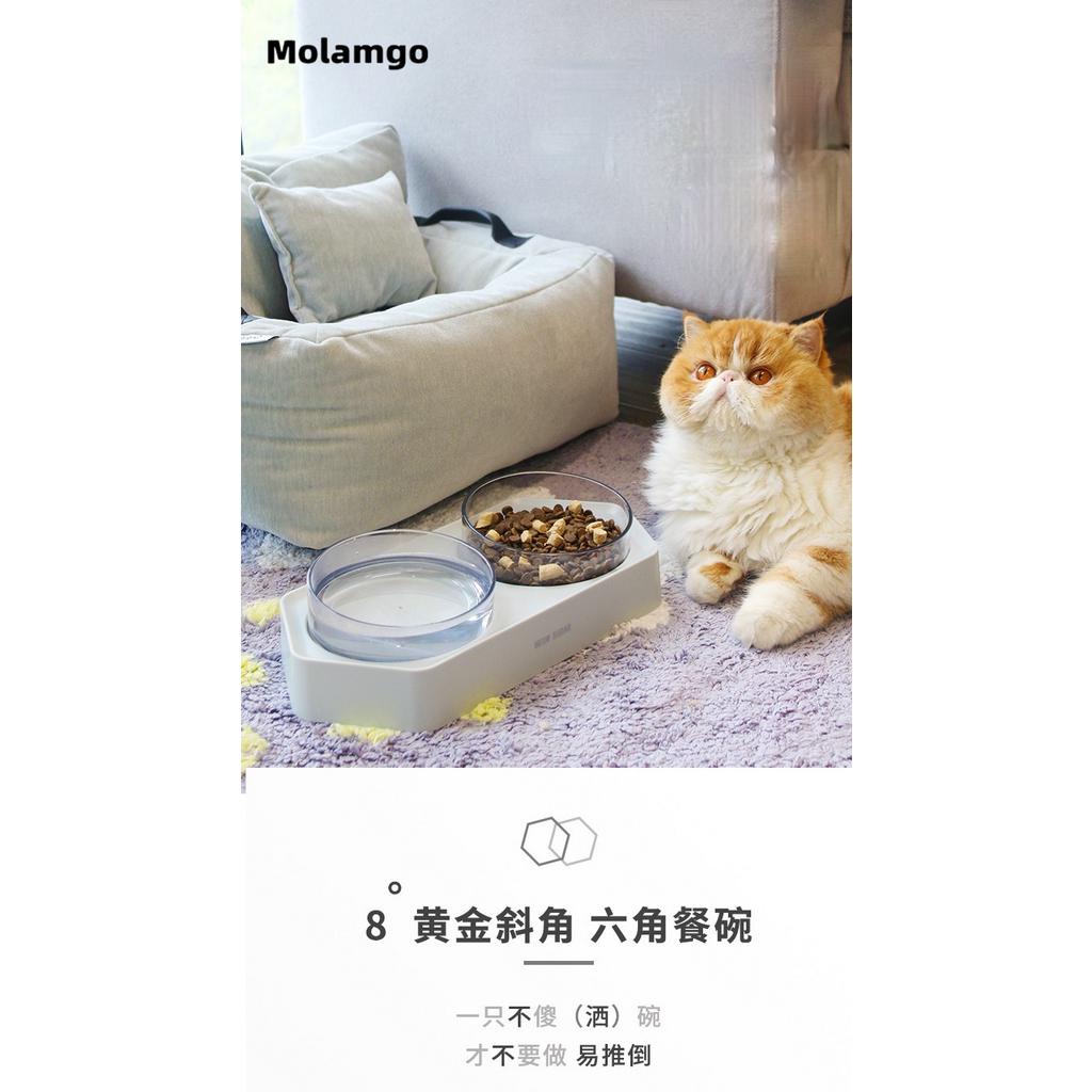 Khay đựng đồ ăn nước uống cho thú cưng tiện lợi