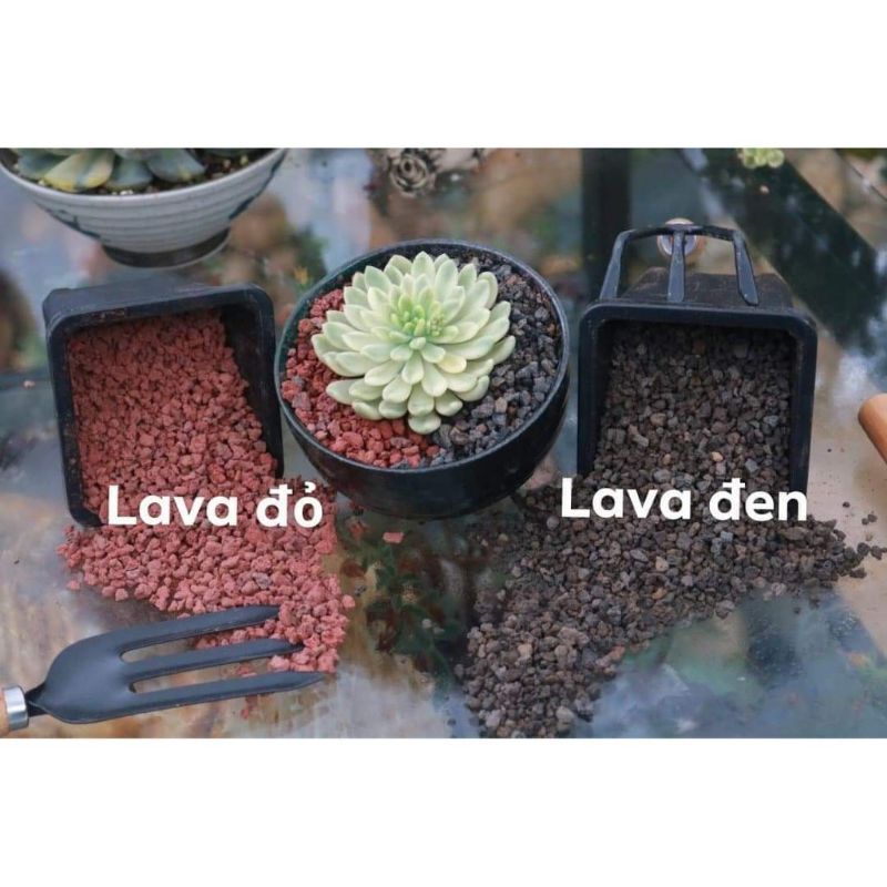 Đá nham thạch rải bề mặt cây xương rồng sen đá - 1kg đá nham thạch đỏ và đen sezi 3-6mm giữ ẩm cho cây và ngăn cỏ dại