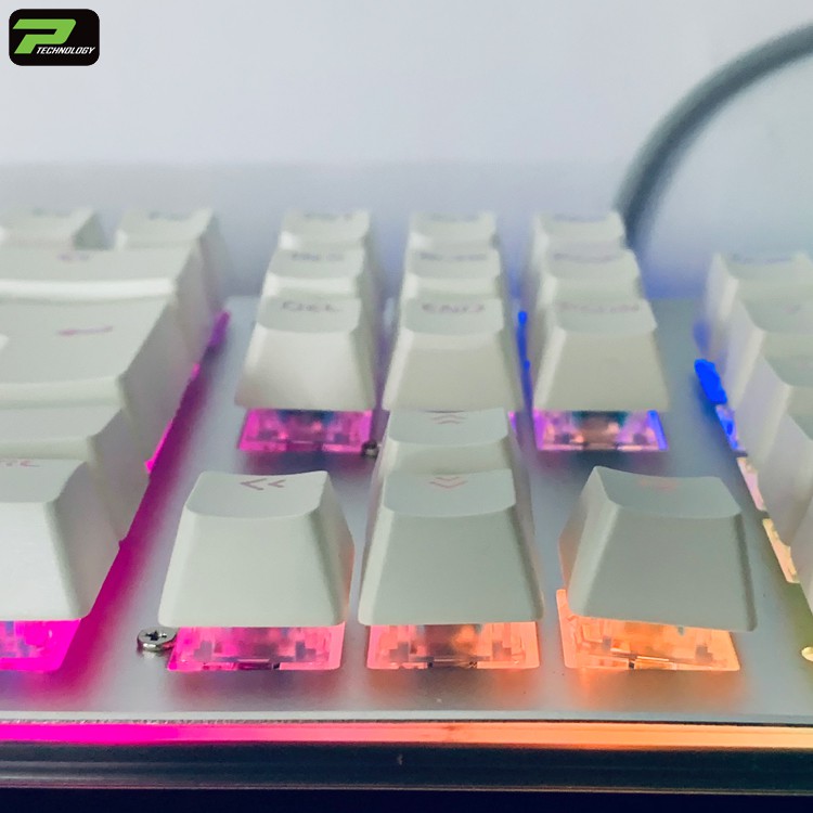 Chuột Chuyên Game Gaming Golden Armor G100 LED RGB + Bàn Phím Cơ Gaming Blue Switch Led Đổi Màu Nhiều Chế Độ G900