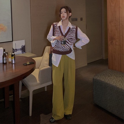 Áo Sweater Dệt Kim Sát Nách In Họa Tiết Ngựa Vằn Thời Trang Mùa Thu