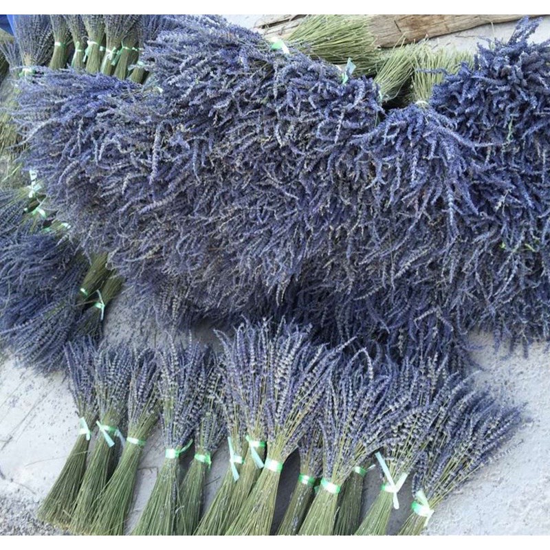 Bó hoa lavender khô nhập pháp hoa khô thơm tự nhiên ( tặng túi thơm ), bó 130g