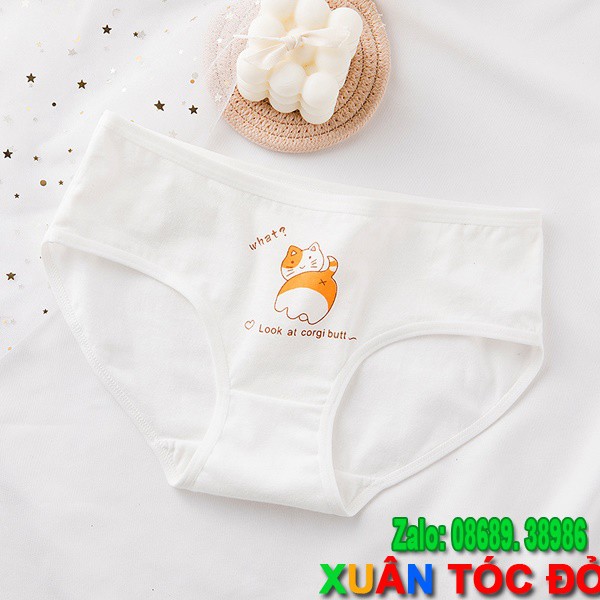 SỈ ZALO RẺ HƠN NHIỀU_ Quần Lót 5 Kiểu Mèo Siêu Kute Mới 5044 | WebRaoVat - webraovat.net.vn