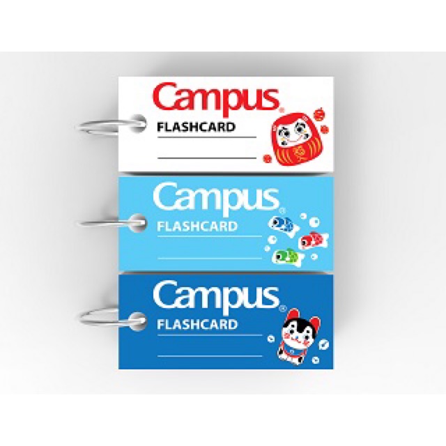 Flash card campus size M (flashcard campus)