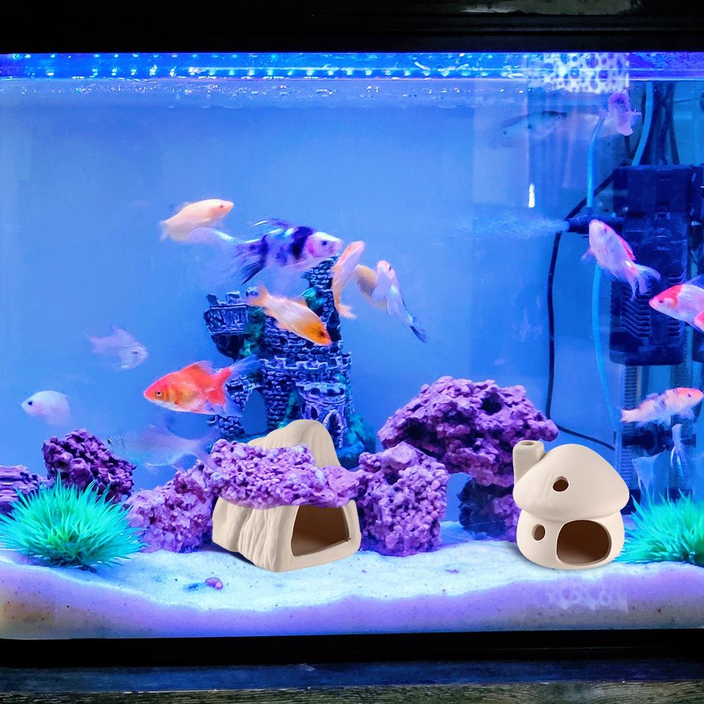 Bể cá cảnh bằng gốm tự nhiên hình dạng đặc biệt sáng tạo trang trí nhà cửa/ văn phòng