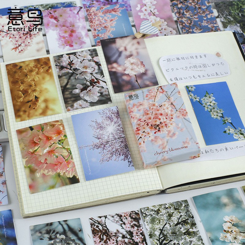 Bộ postcard mini hình hoa đào sang trọng (30 Hình - 4.4 x 6.4cm)