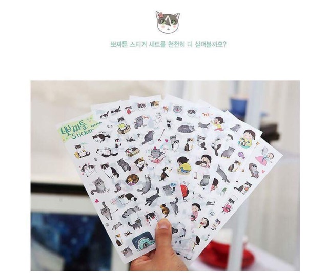 Bộ 6 sticker Mèo