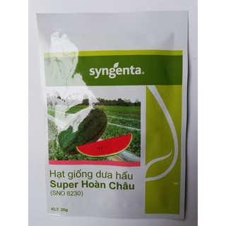 HẠT GIỐNG DƯA HẤU SUPER HOÀN CHÂU - 20 GRAM - SYNGENTA