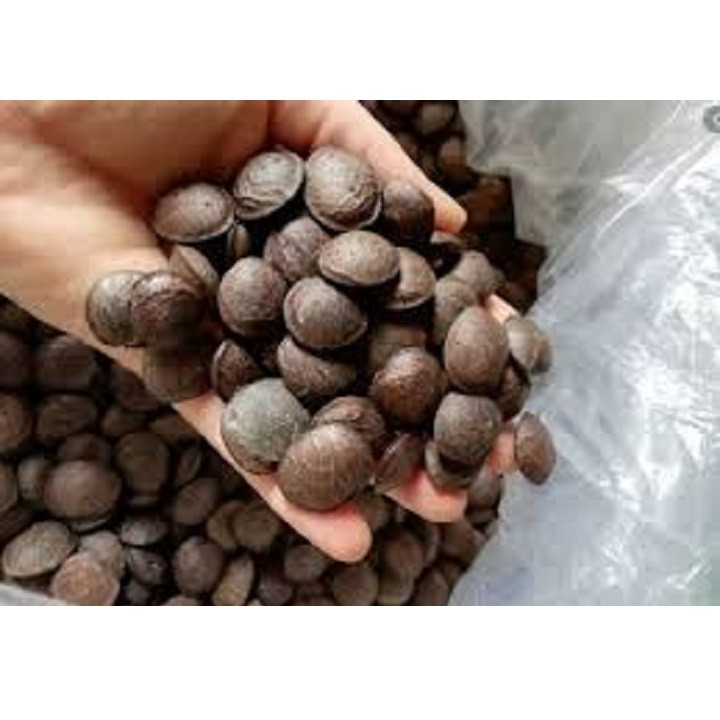 500gr Hạt Sachi Organic