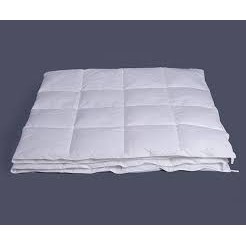 Ruột chăn BS Hanvico 200*220 giảm sốc